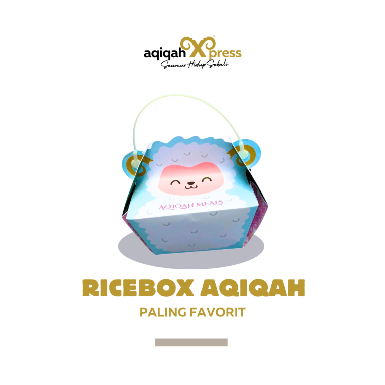 Kemasan Ricebox - aqiqah seumur hidup sekali