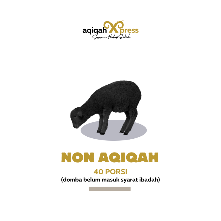 Paket NON Aqiqah - aqiqah seumur hidup sekali
